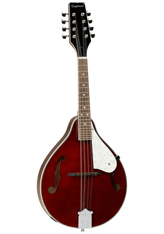Tanglewood TWM T WR